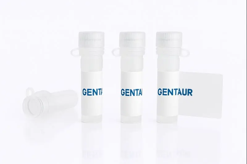 CDK9-CCNT1 Heterodimer, Human (sf9)