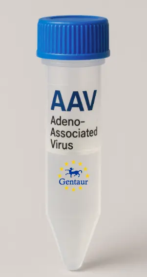 CD99 AAV Vector (Mouse) (CMV)