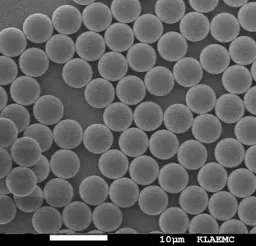 Red Fluorescent SiO2 Magnetic Particles, 30 um-SA