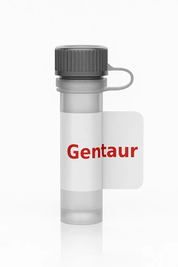 Recombinant HIV O2 Protein (His)